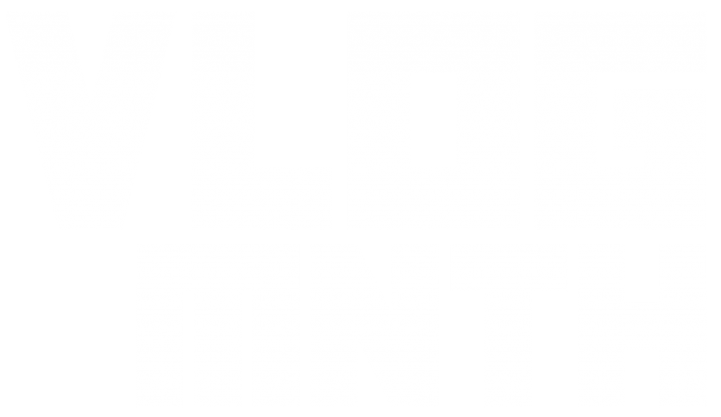 Vlog Month Logo